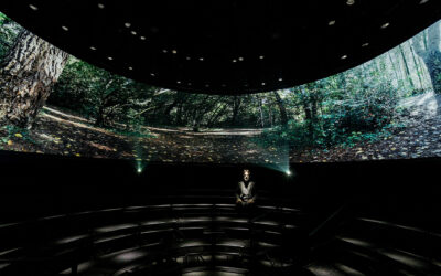 Articolo 5A Sound Design Masterpiece